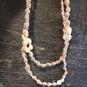 Elegant Shell Necklace